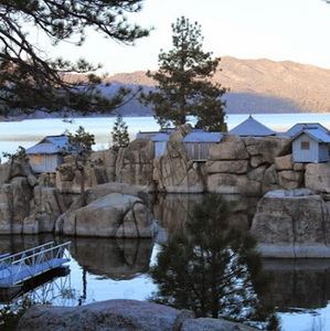 Meet your Posher, Dionne